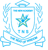 THE GREAT NEW STAR ACADEMY logo